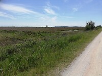 IMG_20210616_133842
