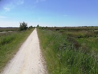 IMG_20210616_133839
