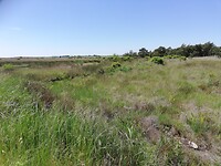 IMG_20210616_133836