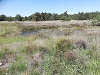 IMG_20210616_133833