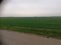 IMG_20220329_104953