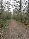 IMG_20220329_083422