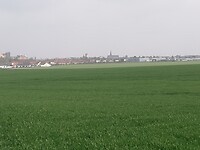 IMG_20220331_121915