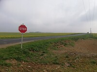 IMG_20220331_095147
