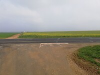 IMG_20220331_095142