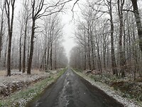 IMG_20220401_145852