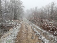 IMG_20220401_144311
