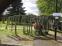 IMG_20220402_130441
