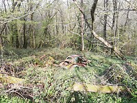 IMG_20220403_114504