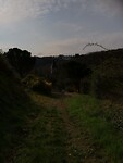 IMG_20220403_101502