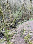 IMG_20220403_092859