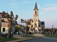 IMG_20220403_083610