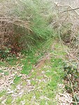IMG_20220405_135700