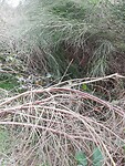 IMG_20220405_135706