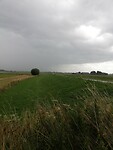 IMG_20230717_130951
