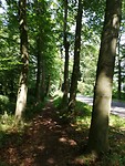 IMG_20230718_121406