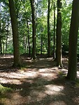 IMG_20230718_104554