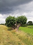 IMG_20230719_130815