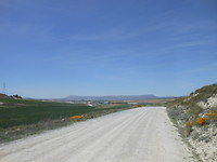 in de verte Almansa
