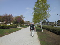 In Albacete