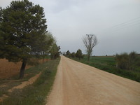 de lange weg