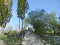 Romeinse brug ( met Henk)