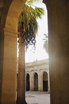 DSC00729