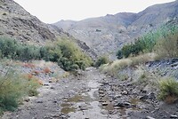 DSC00864