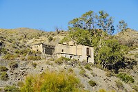 DSC00874