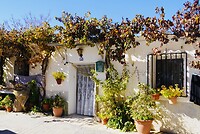 DSC00919