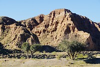 DSC00908