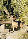 DSC00896