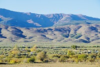 DSC00895