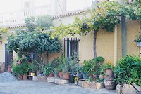 DSC00891