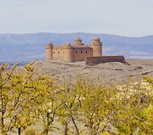 DSC00975