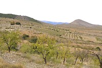 DSC00958