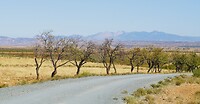 DSC01014