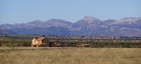 DSC01018