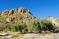 DSC01150