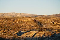 DSC01116