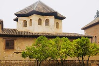 DSC01260