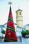 DSC01337