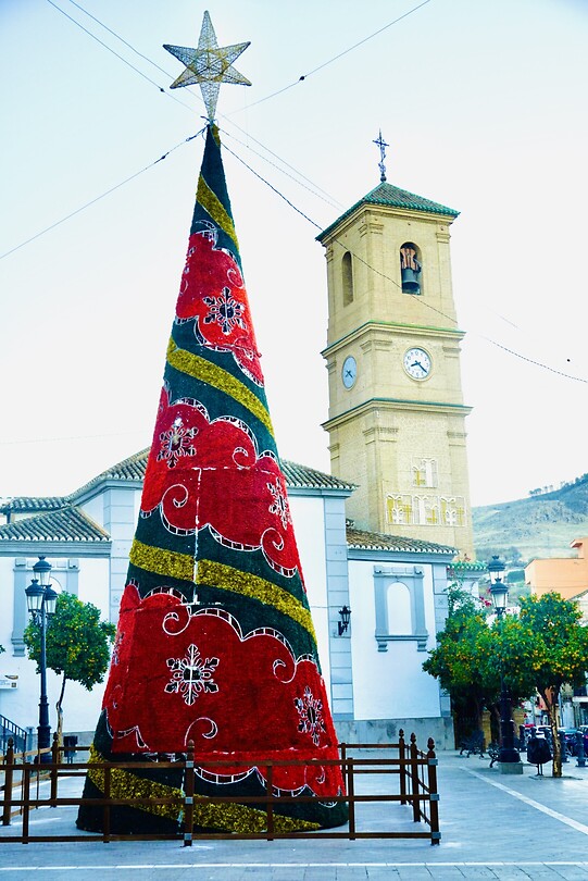 DSC01337
