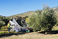 DSC01370