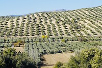 DSC01368