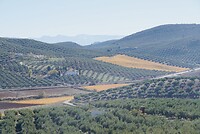 DSC01428