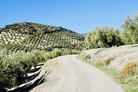 DSC01468