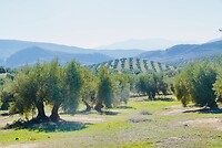 DSC01474