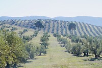 DSC01470