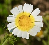 DSC01745